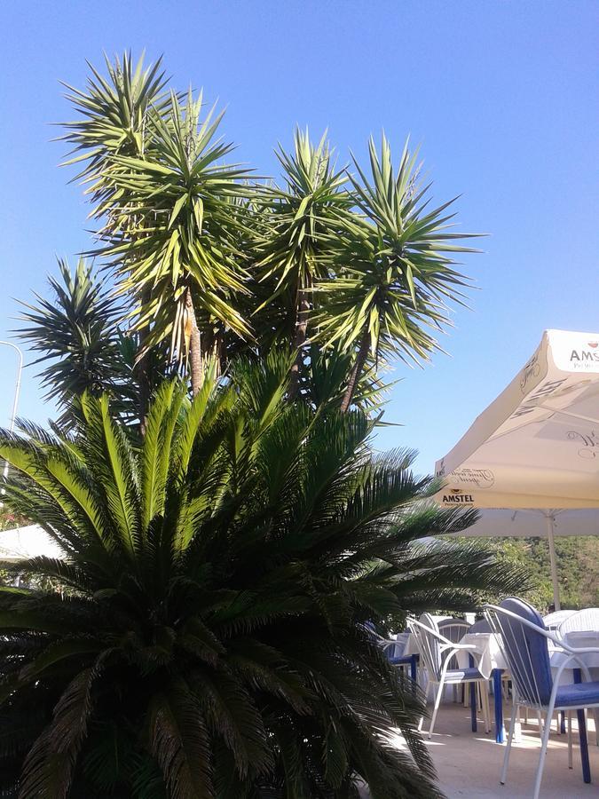 Hotel Jovana Budva Ngoại thất bức ảnh